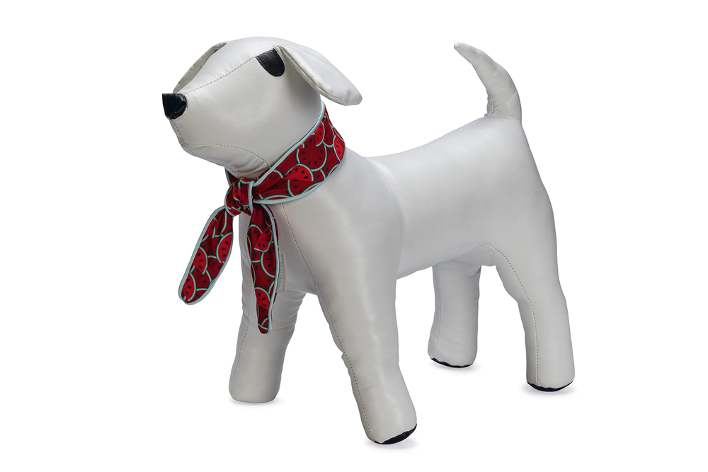 Beeztees Quick Cooler Meloenie - Halsband Hond - rood - M