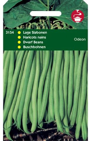 Hortitops Stamslabonen Phaseolus Vulgaris L. Odeon - Groentezaden - 50 Gram