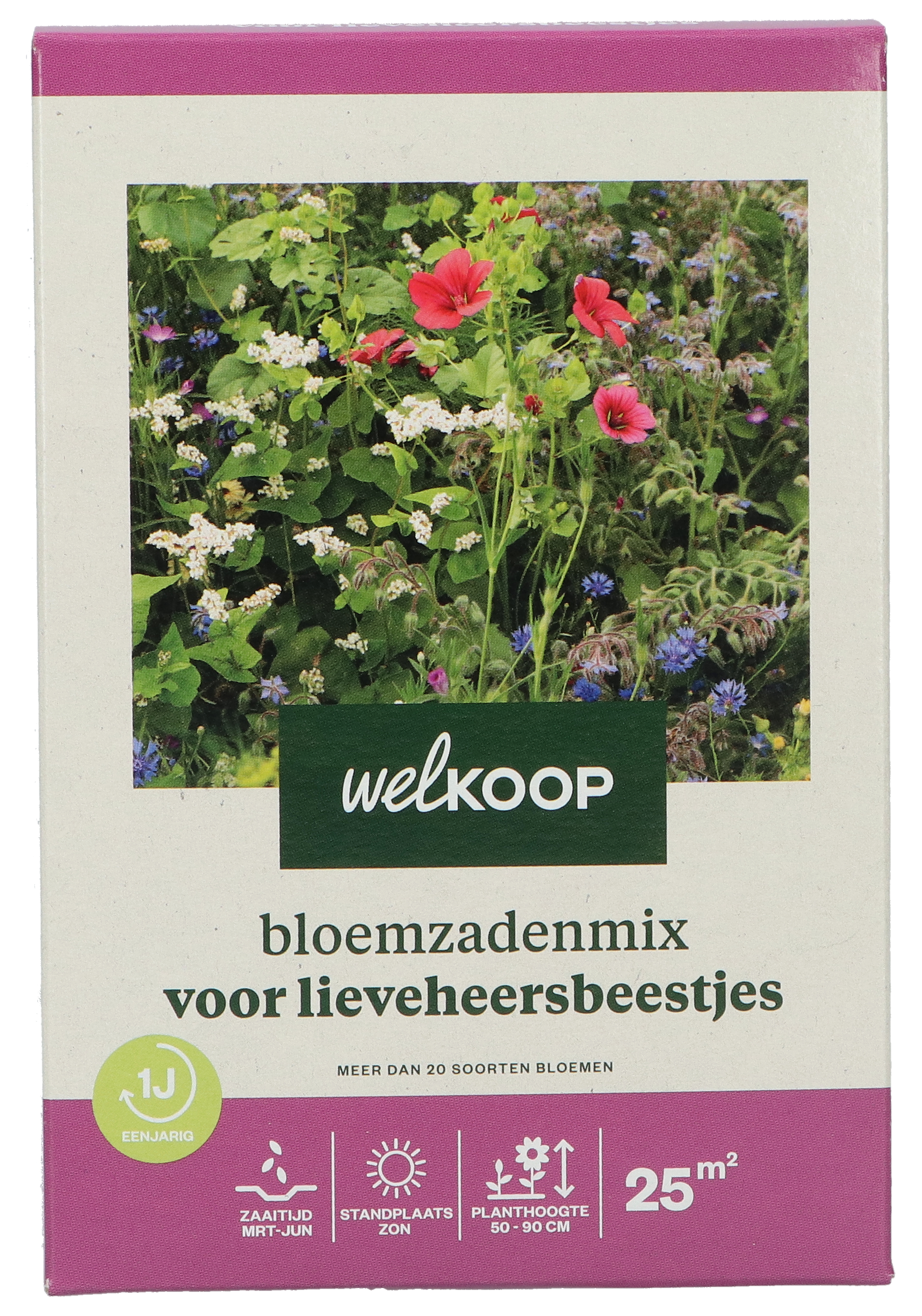 Welkoop Friendly Flowers Bermbloemen - Bloemenzaden