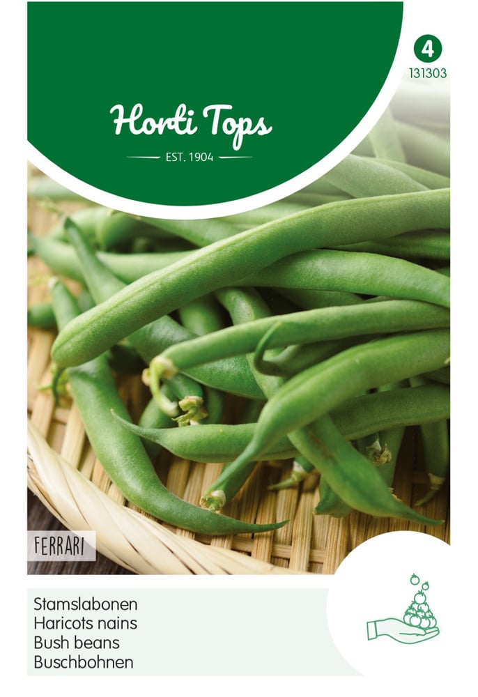 Hortitops Stamslaboon Ferrari - Groentezaden