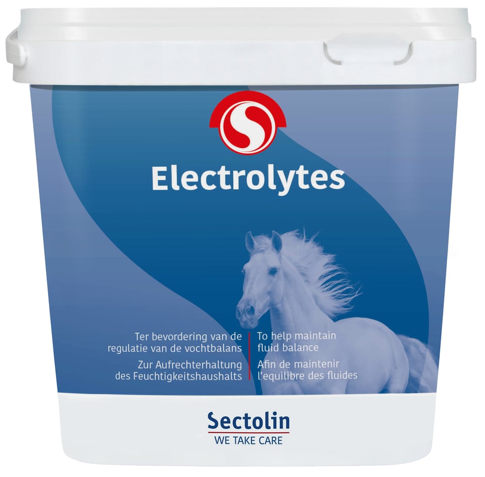 Sectolin Electrolyte Poeder - Vochtbalans supplement Paard - 0.5 Kilogram - Emmer