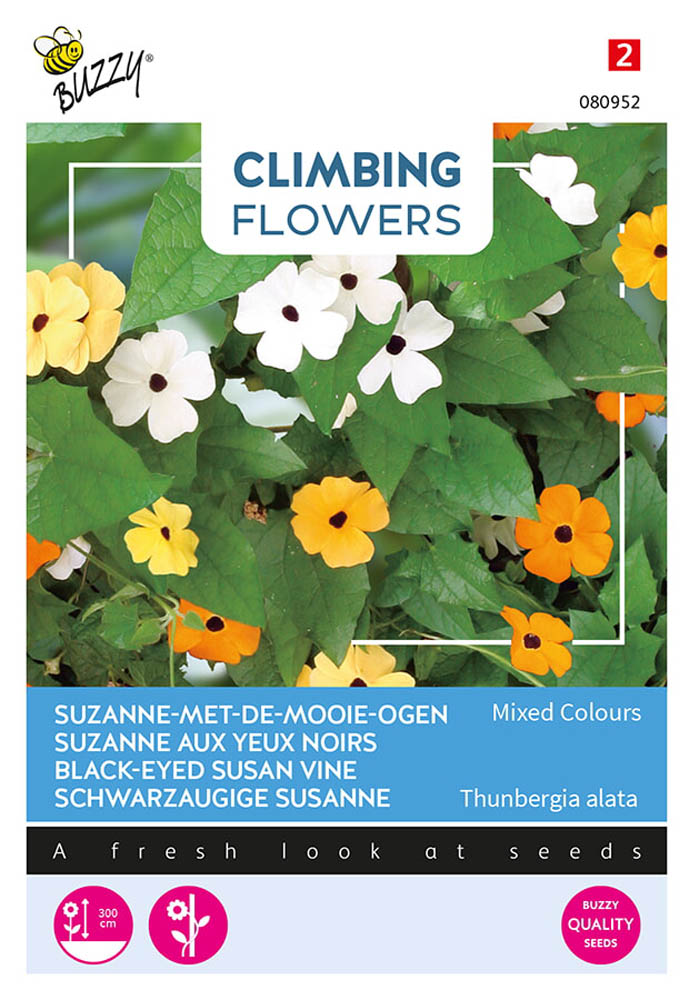 Buzzy Climbing Flowers Suzanne-met-mooie-ogen - Bloemzaden