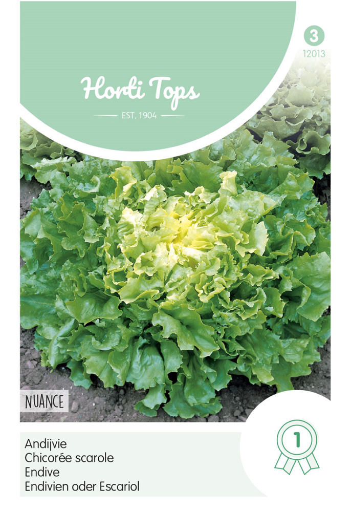 Hortitops Andijvie Cichorium endivia Nuance - Groentezaden