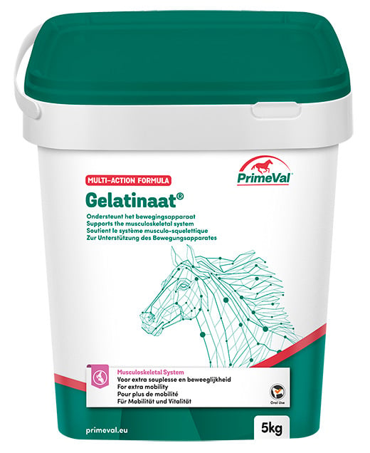 Primeval Gelatinaat - Gewrichtsupplement - Paard - 5 Kilogram - Doos - paard