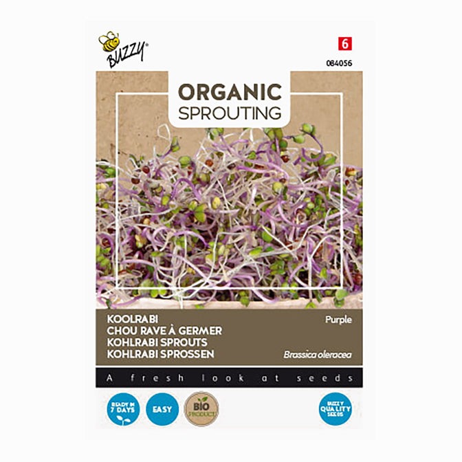 Buzzy® Organic Sprouting - Koolrabi blauwpaars - 30 Gram