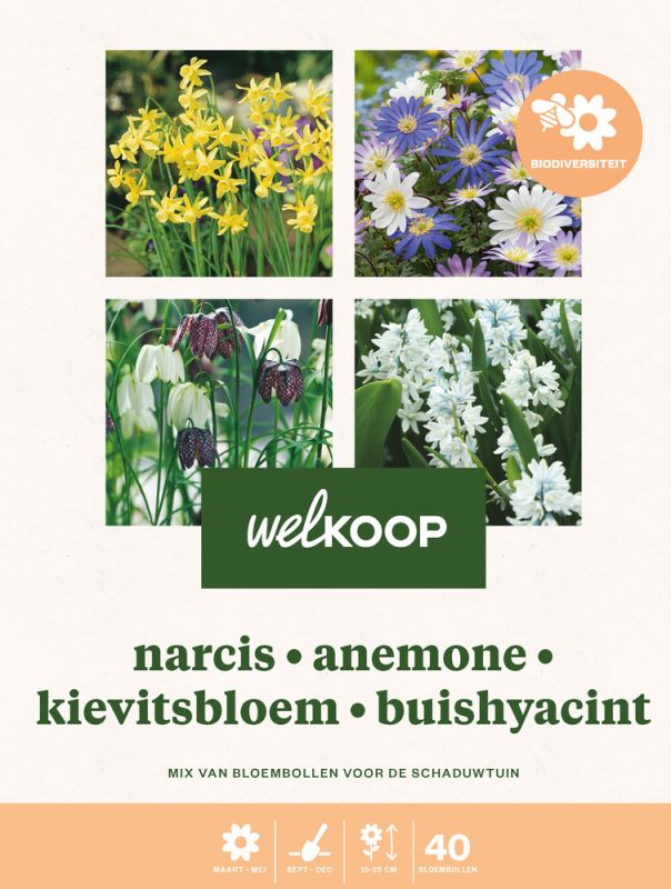 Welkoop Narcis Anemone Kievitsbloem Buishyacint - Biodiversiteit - Bloembollen