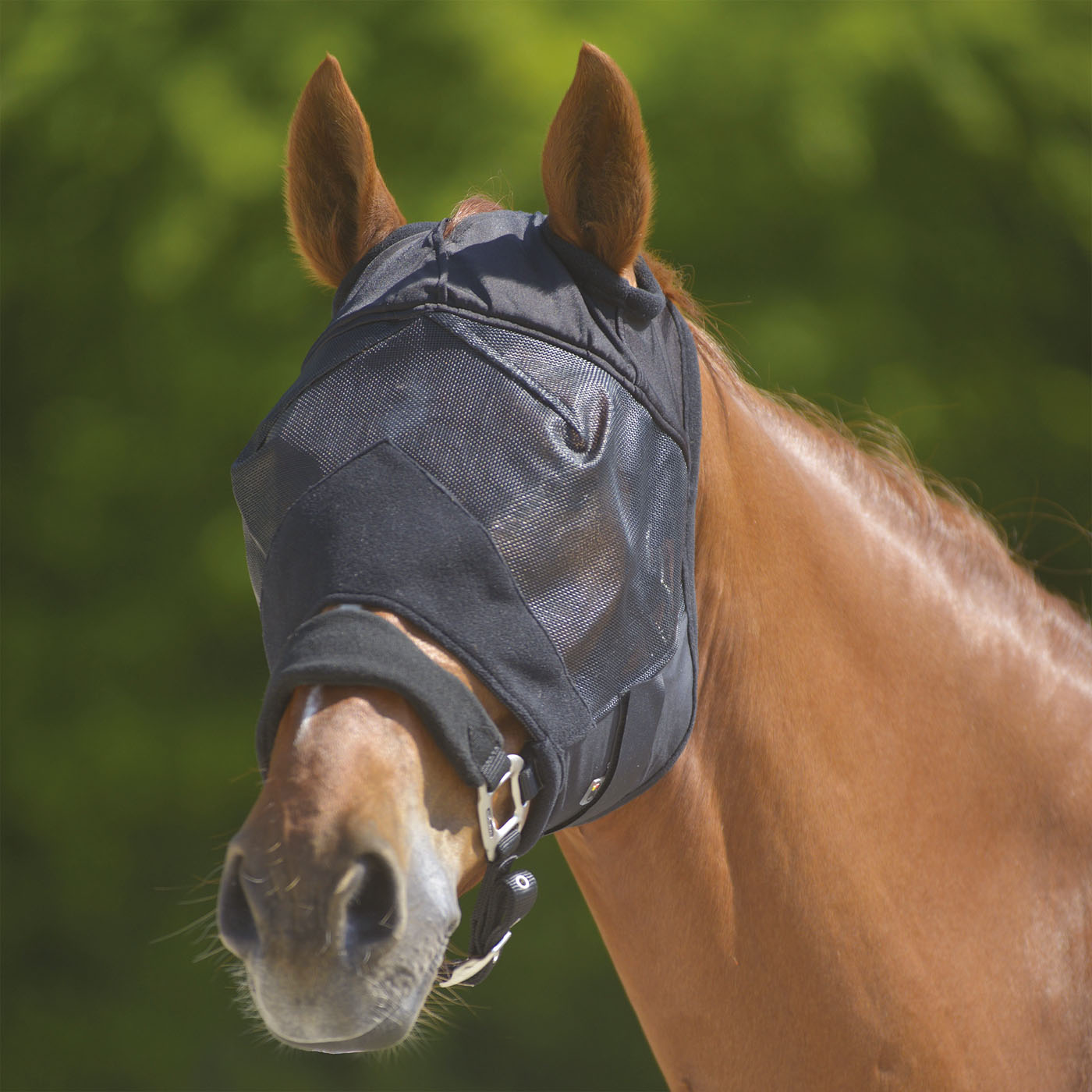 Waldhausen Premium - Vliegenmasker Paard - Zwart - Pony