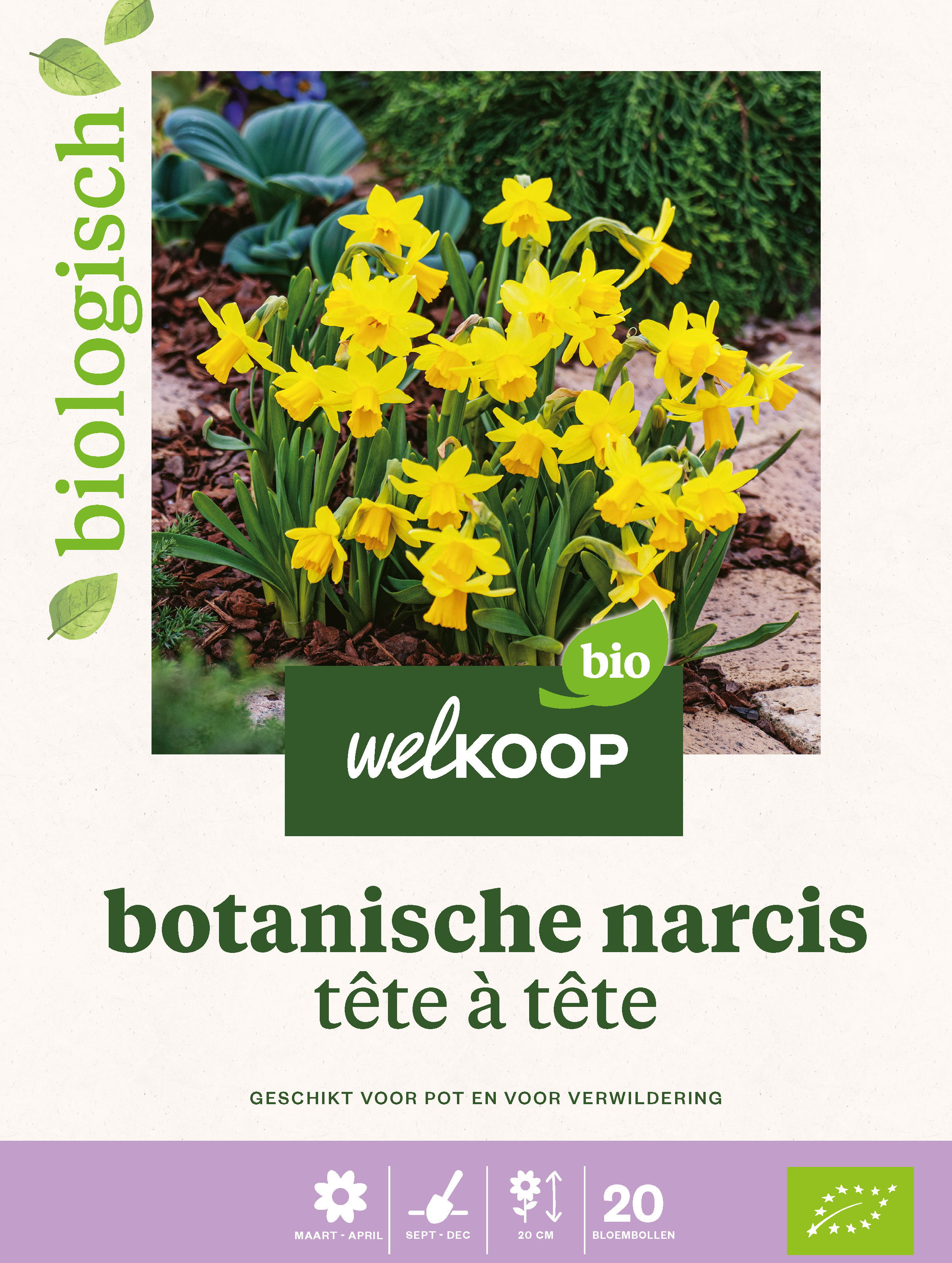 Welkoop Narcis Biologisch Botanische mix - Bloembollen