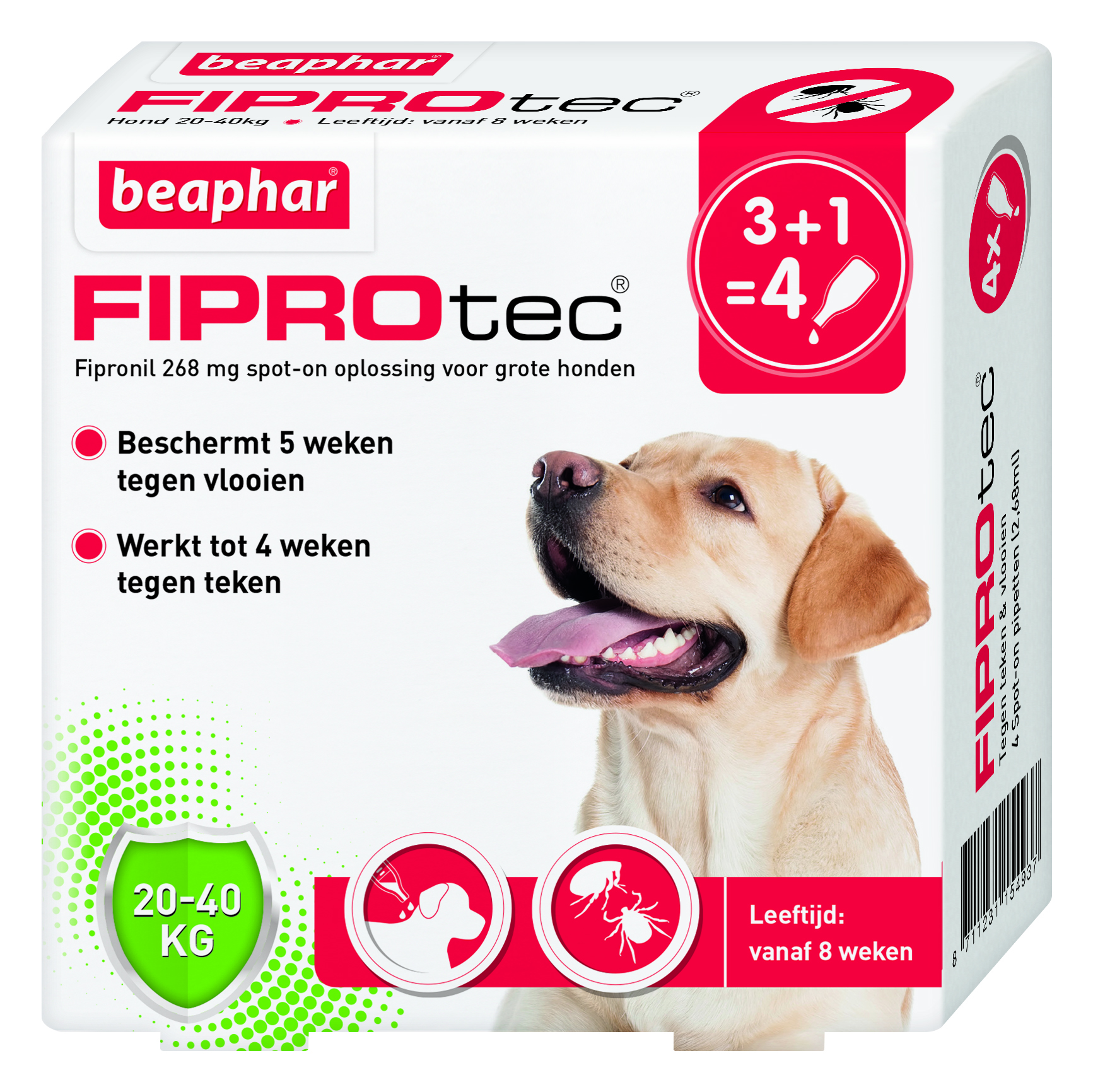 Beaphar Fiprotec Pipet - Anti Vlooien en teken - Hond - 4 Stuks - M