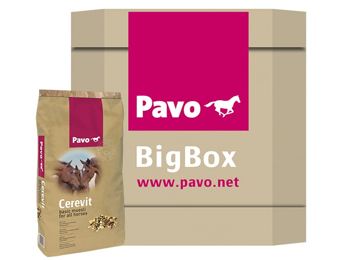 Pavo Cerevit - Basisvoeding - 600 Kilogram - Bigbox Pavo Cerevit - Basisvoeding - 600 Kilogram - Bigbox