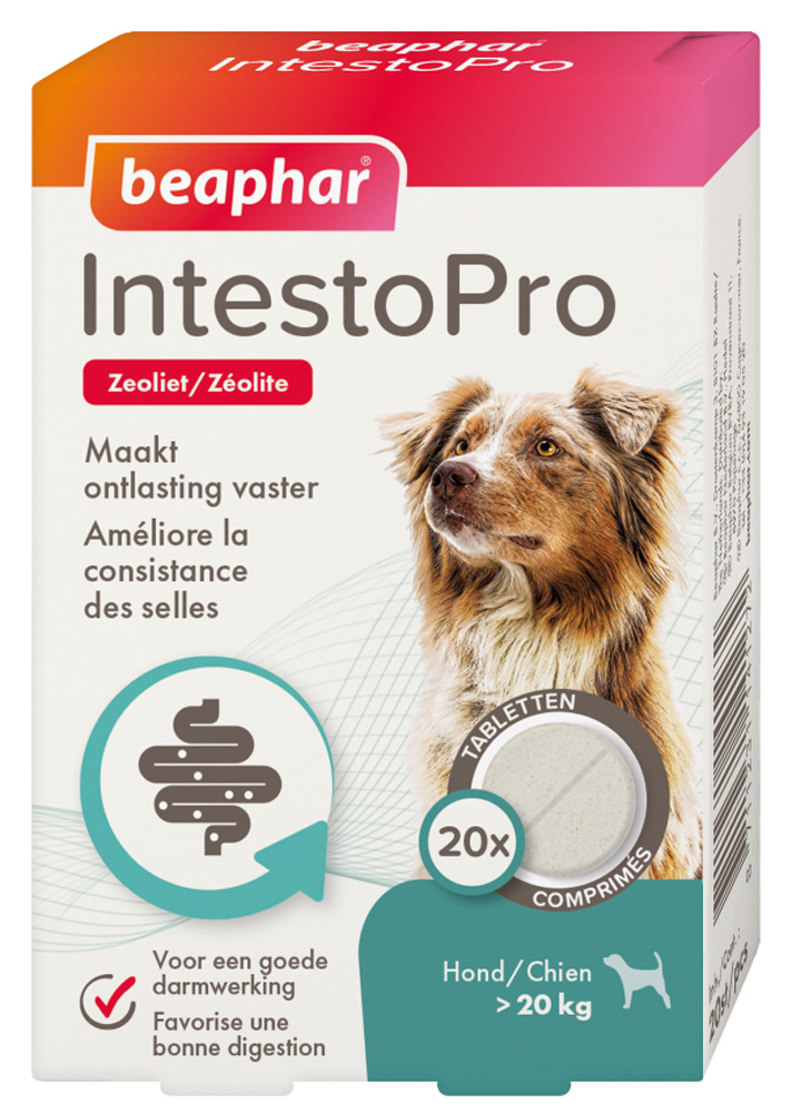 Beaphar IntestoPro Kat - Hond vanaf 20kg - Verlicht darmproblemen - 20 Stuks - M Beaphar IntestoPro Kat - Hond vanaf 20kg - Verlicht darmproblemen - 20 Stuks - M