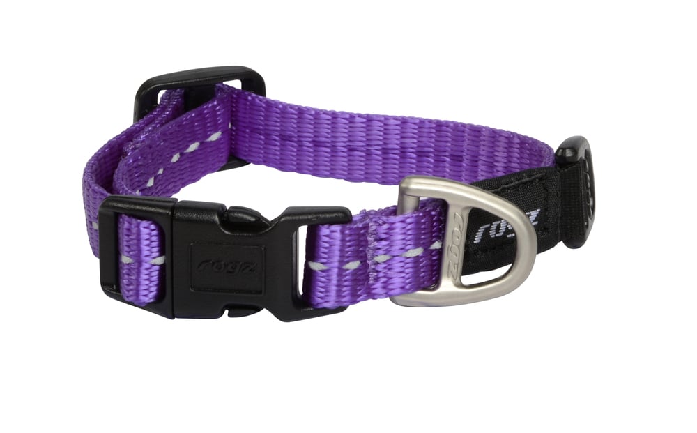 Rogz Utility - Halsband Hond - paars - 16 tot 22 cm Rogz Utility - Halsband Hond - paars - 16 tot 22 cm