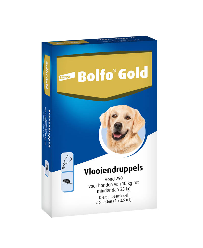 Bolfo Gold Hond 250 - Pipet - Anti vlooien Hond - 2 Stuks - M Bolfo Gold Hond 250 - Pipet - Anti vlooien Hond - 2 Stuks - M