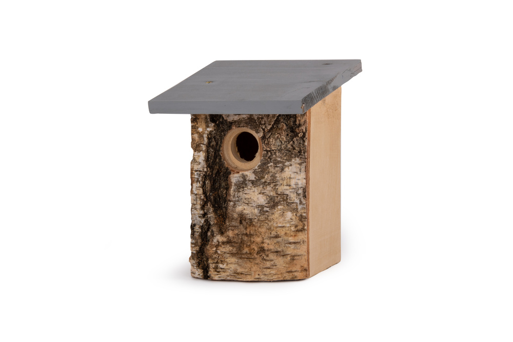 Bestlife Kongsberg Nestkast - Koolmees - 32 mm