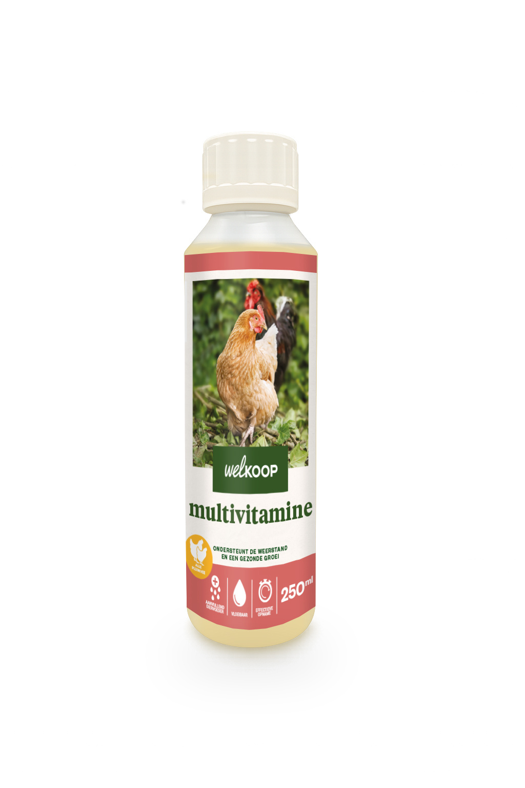 Welkoop - Multivitamine - Supplement  Kip - 250 Milliliter