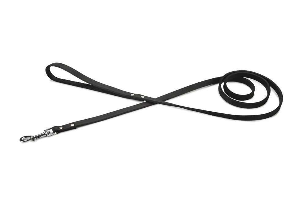 Beeztees Geniet - Hondenriem - zwart - 1.2 cm - 165 cm