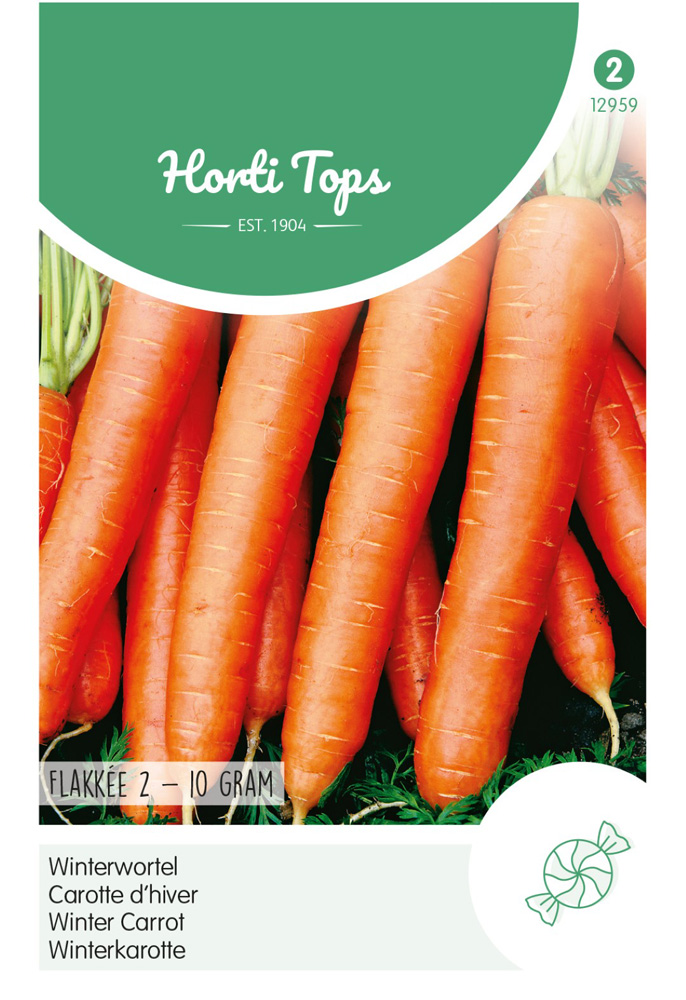 Hortitops Winterwortelen Daucus carota Flakkee 3 Stompp - Groentezaden