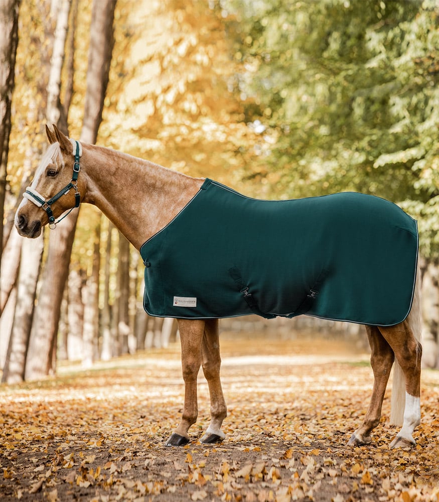 Waldhausen Economic met kruisbanden - Zweetdeken - Paardendeken - Groen - 115/165 Waldhausen Economic met kruisbanden - Zweetdeken - Paardendeken - Groen - 115/165