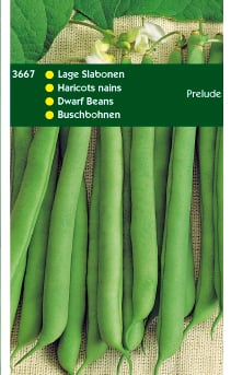 Hortitops Stamslabonen Phaseolus vulgaris Prelude - Groentezaden - 250 Gram