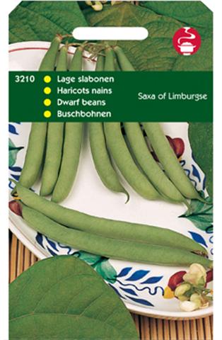 Hortitops Stamslabonen Phaseolus Vulgaris L. Saxa of Limburgse - Groentezaden - 100 Gram