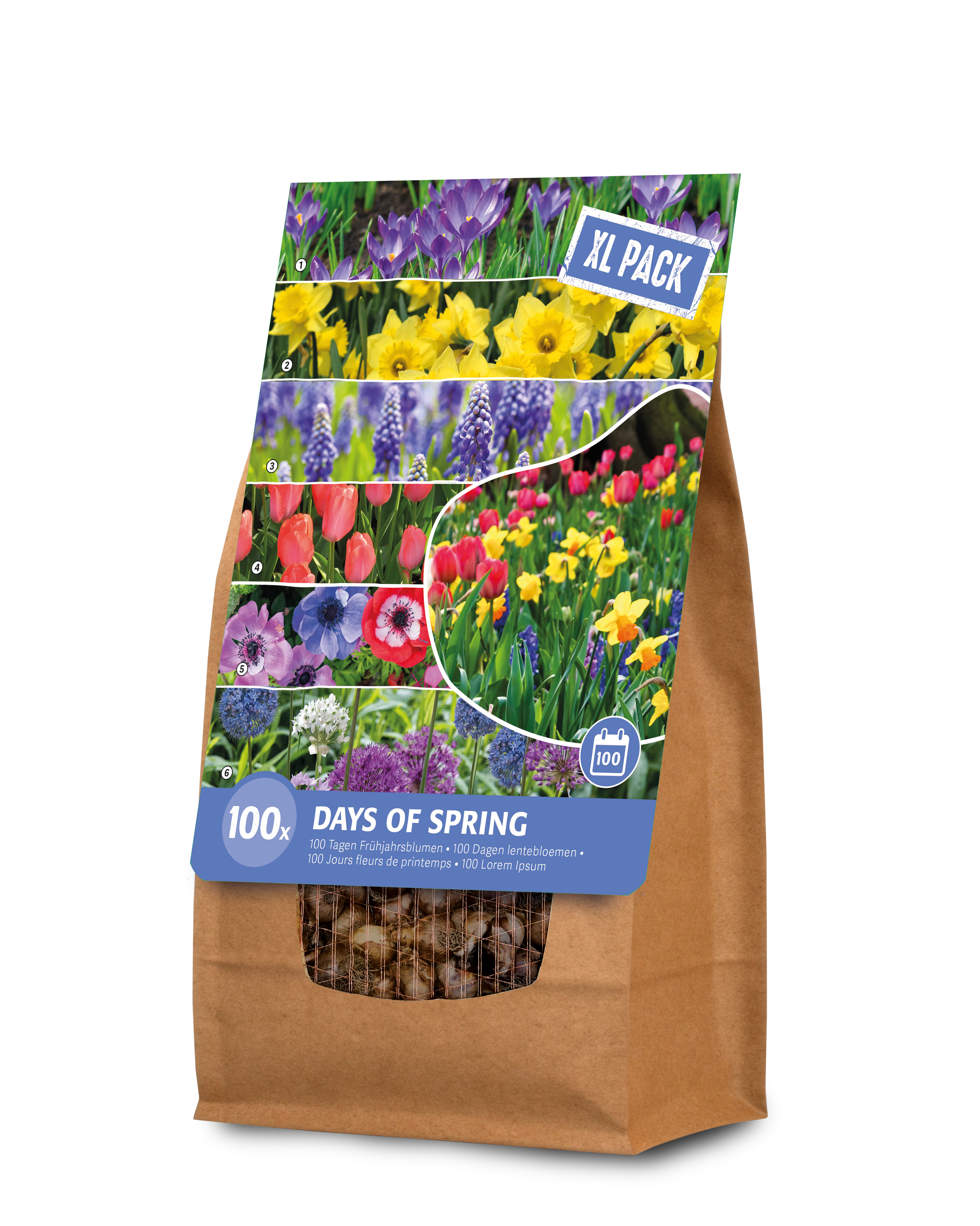 Florex Bloembollenmix 100 dagen lengte - Bloembollen - XL zak