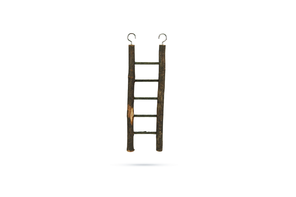Beeztees Zi Ladder - Vogelspeeltje - Bruin - 3x21.5x7 cm
