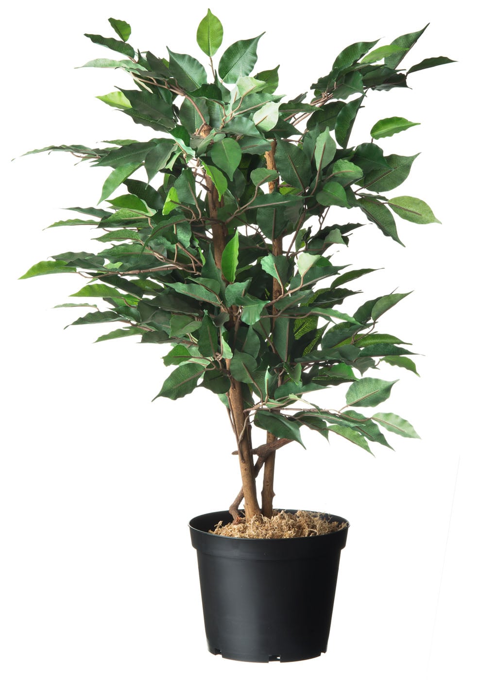 Nature Plantcontainer - Kweekbenodigdheden - Zwart - 19x22.5x19.2 cm Nature Plantcontainer - Kweekbenodigdheden - Zwart - 19x22.5x19.2 cm