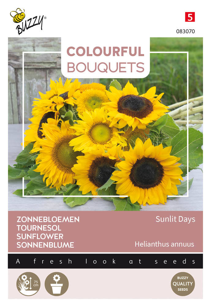 Buzzy Colourful Bouquets Sunlit Days - Bloemzaden
