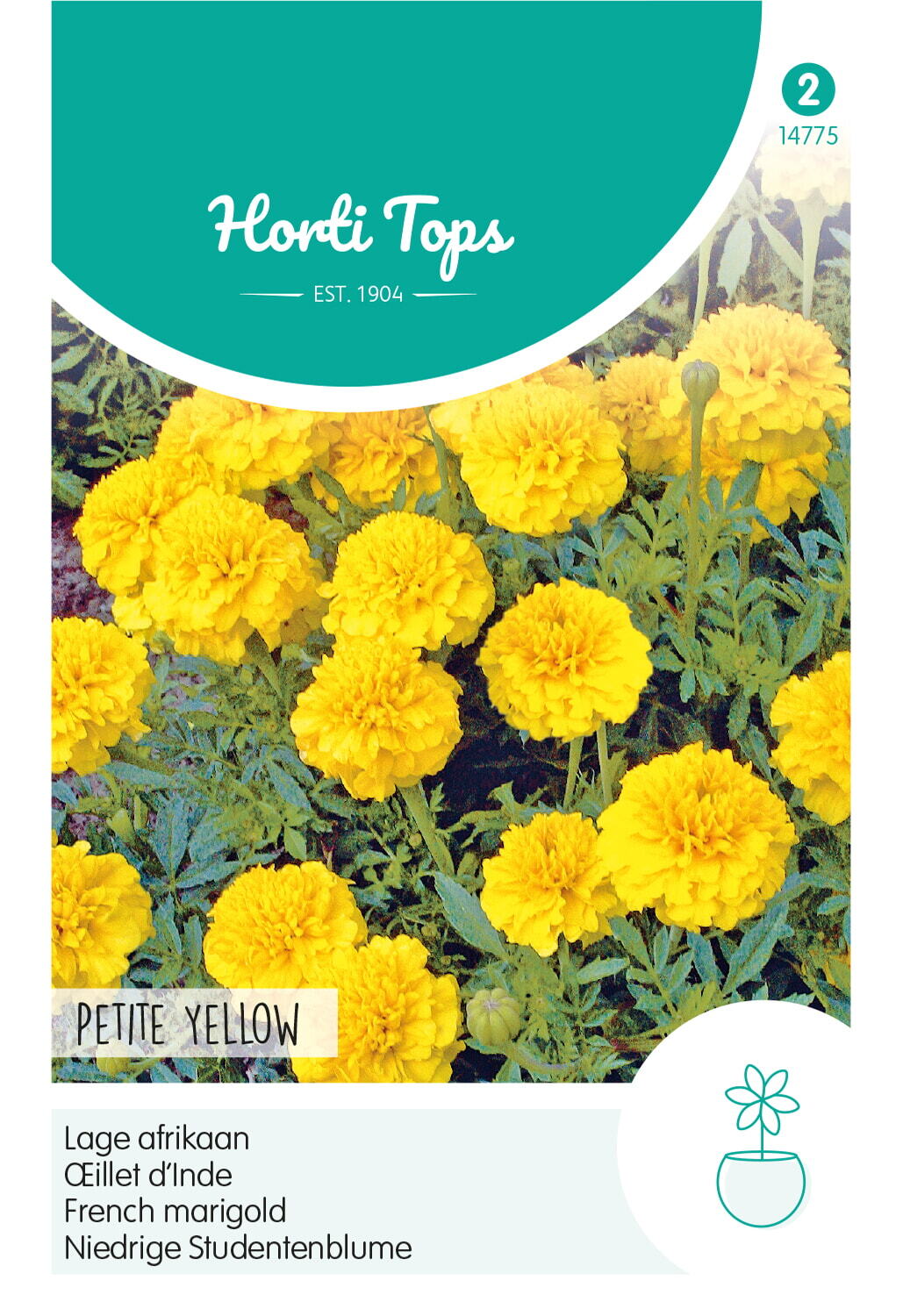 Hortitops Lage Afrikaan Petite Yellow - Bloemzaden
