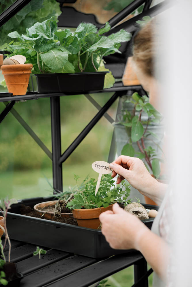 Royal Well Mary IV - Kweekschap - zwart - 2.5x22.5x416.4 cm