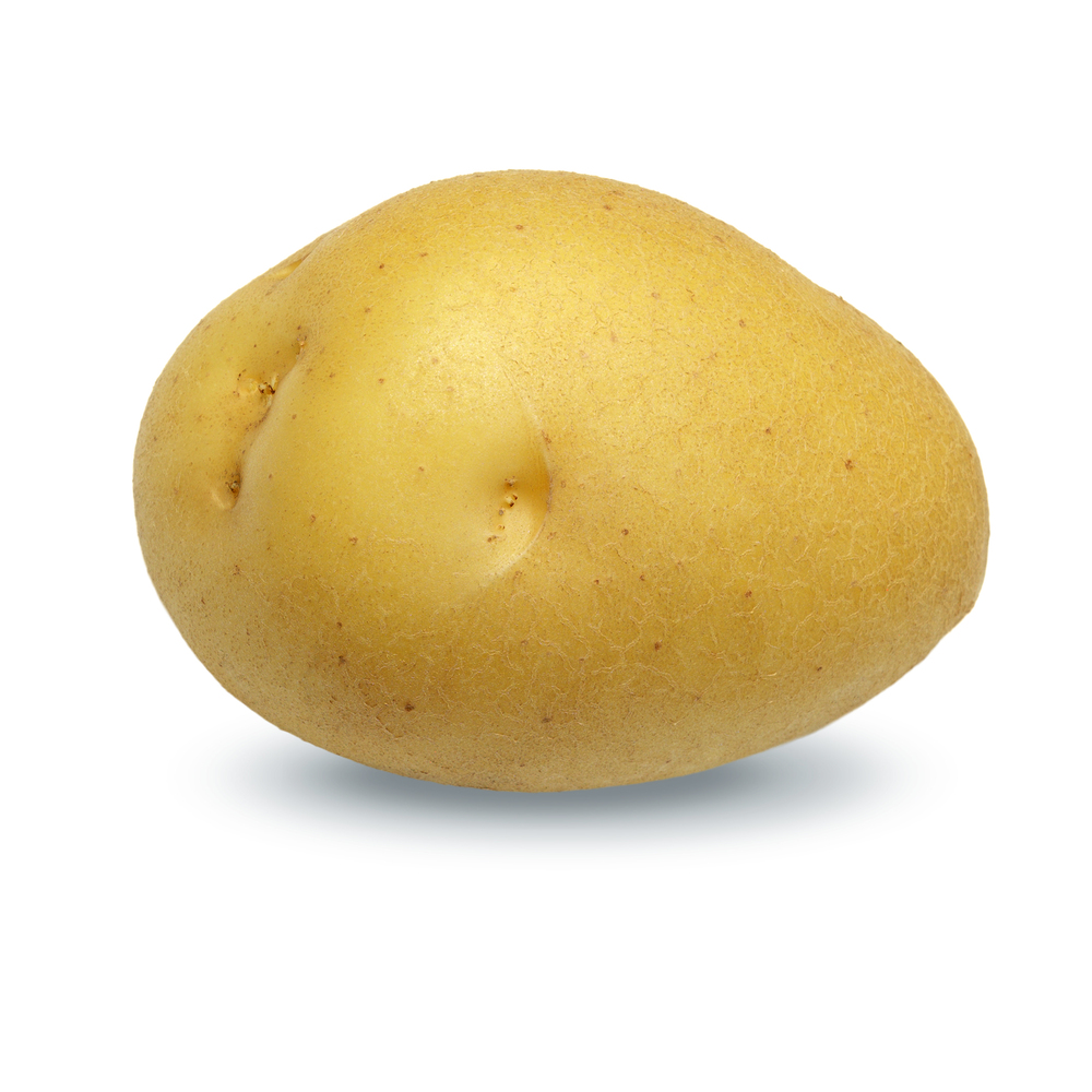 Berber - Pootaardappelen - 2.5 Kilogram - Vastkokend