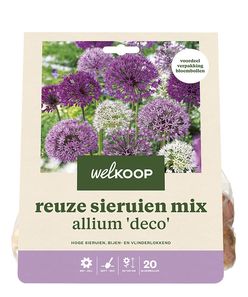 Welkoop Reuze Allium mix Mary - Bloembollen