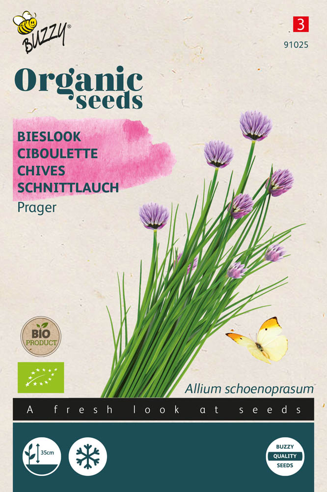 Buzzy Bieslook Allium fistulosum Prager - Kruidenzaden