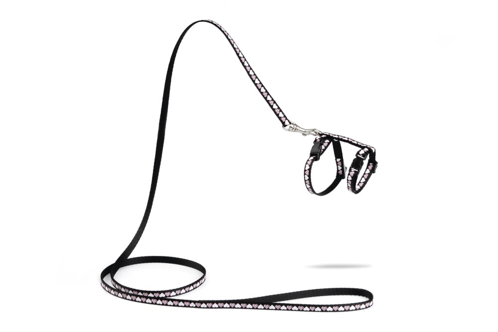 Beeztees Hearts - Kittentuigje - Zwart - 100 cm