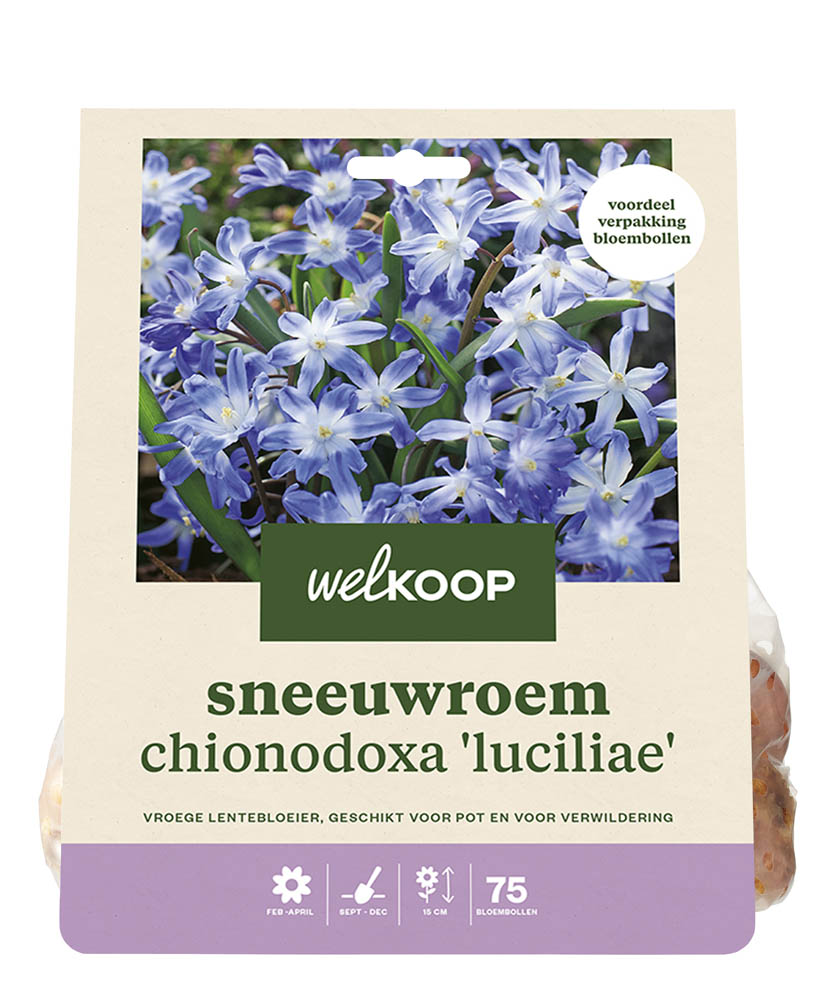 Welkoop  Conny - Bloembollen