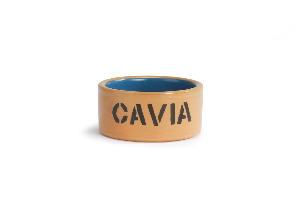 Beeztees Voer- of drinkbak Cavia - Blauw Beige - 5.5x11.5x11.5 cm