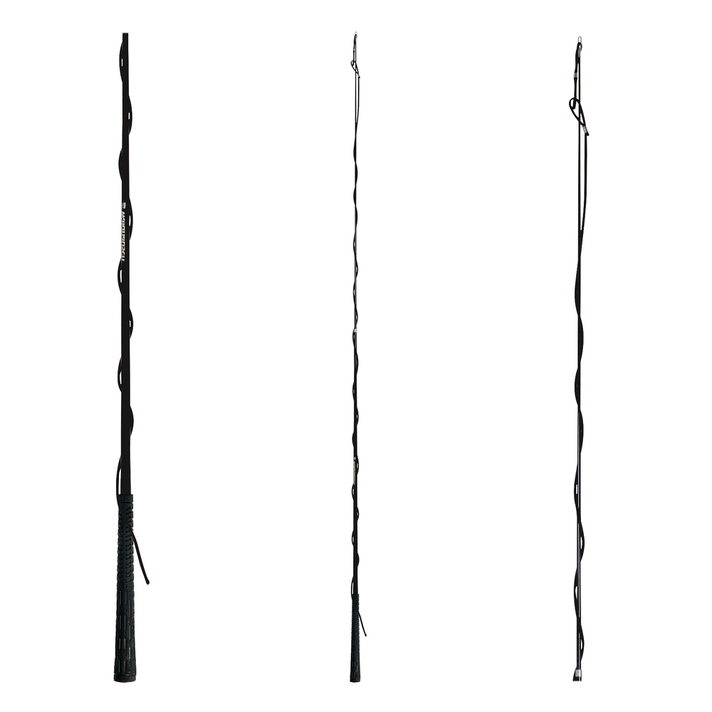 Waldhausen Telescopisch - Longeerzweep - Zwart - 300 cm