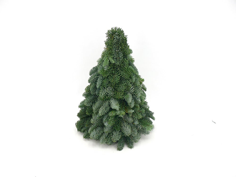 Kerstboom Nobilis - 40 cm