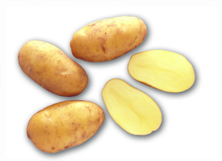 Nicola  - Pootaardappelen - 2.5 Kilogram - Vastkokend