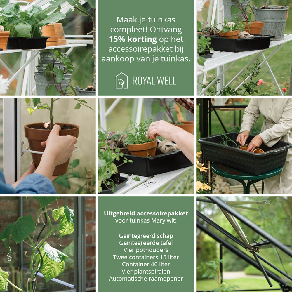 Royal Well Mary II - Tuinkas - Wit - 241x212x291 cm - Veiligheidsglas & polycarbonaat