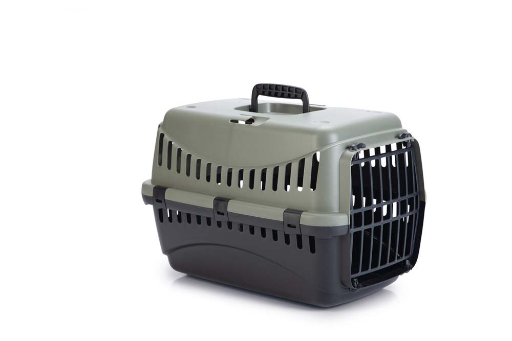 Beeztees Gipsy eco - Reismand - Groen - 29x26x45 cm