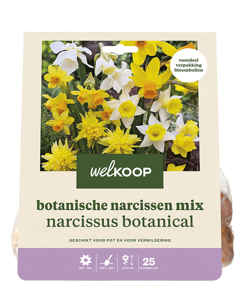Welkoop Narcis Marjan - Bloembollen