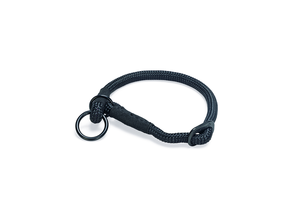 Beeztees Premium Parinca - Halsband Hond - zwart - Extra small - 40 cm