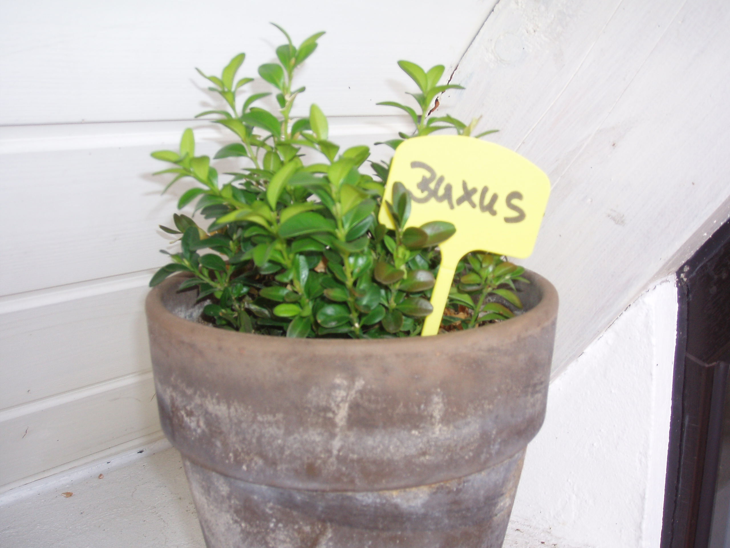 Nature Plaatetiketten - Kweekbenodigdheden - Geel - 21x9.8x1.7 cm