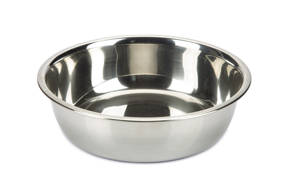 Beeztees Rvs - Voerbak - Zilver - 17 cm