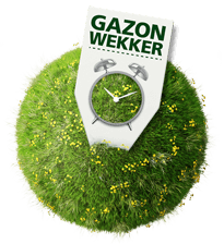 graszaad welkoop 123 gazon zaaien welkoop graszaad welkoop 123 gazon zaaien welkoop