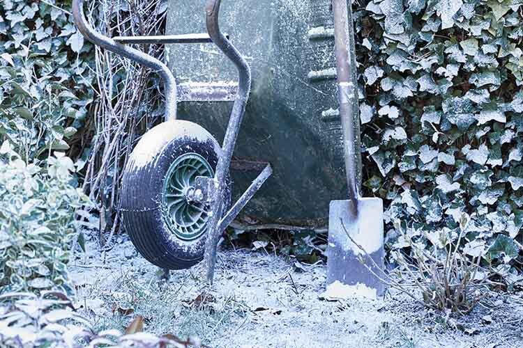 tuinkalender januari