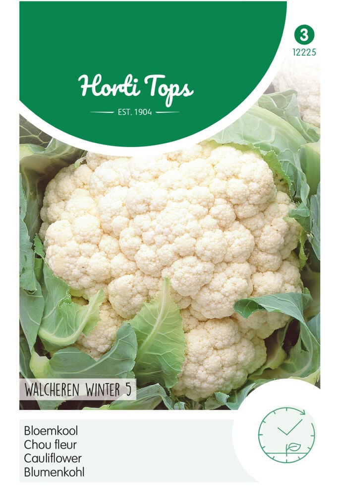 Hortitops Bloemkool Brassica oleracea Walcheren Winter - Groentezaden Hortitops Bloemkool Brassica oleracea Walcheren Winter - Groentezaden